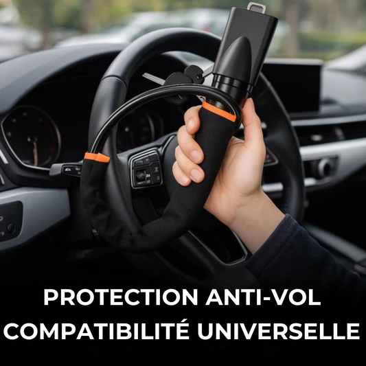 Protection Anti-Vol